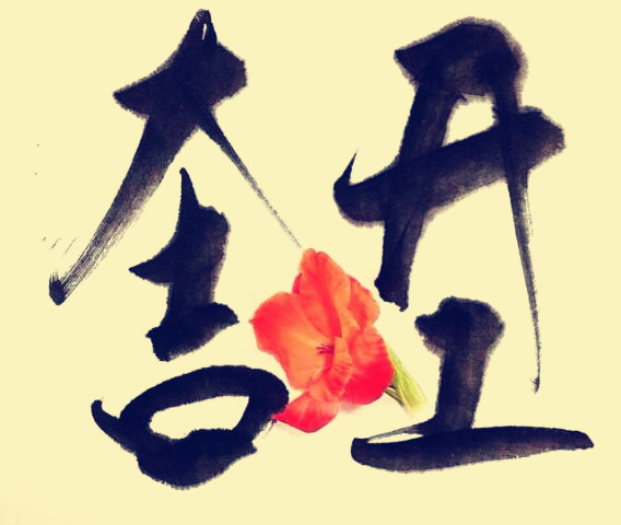 駿業(yè)包裝開工大吉！