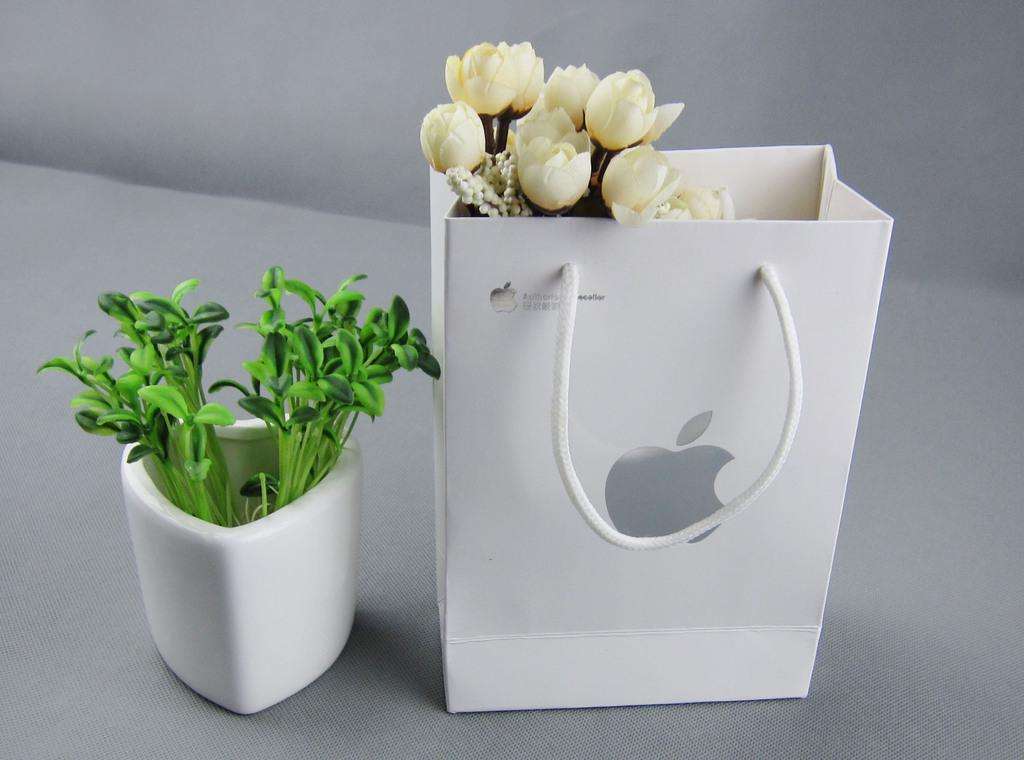 蘋果手機(jī)紙袋 蘋果手機(jī)紙袋